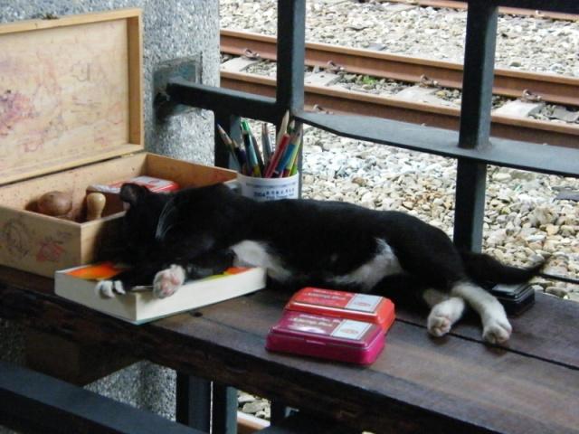 台湾観光にもおすすめ 猫の村 侯硐 ホウトン にある廃墟 瑞三整炭工場 を巡ろう Latte