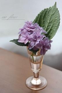 人はなぜ花を飾るのか 植物を用いたお部屋づくりの効果と ココロ潤うライフスタイル Latte