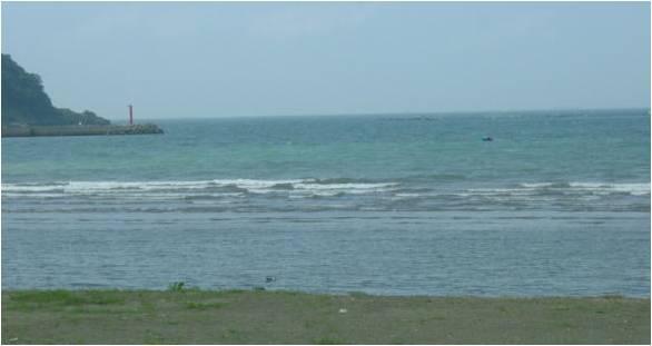 のんびり手漕ぎボート釣りの魅力 楽しみ方ポイントと危険な毒魚リスト Latte