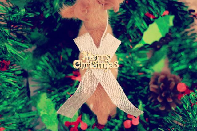 ピアニスト厳選 パーティーや合唱におすすめ 定番クリスマスソング Bgm 15曲 Latte